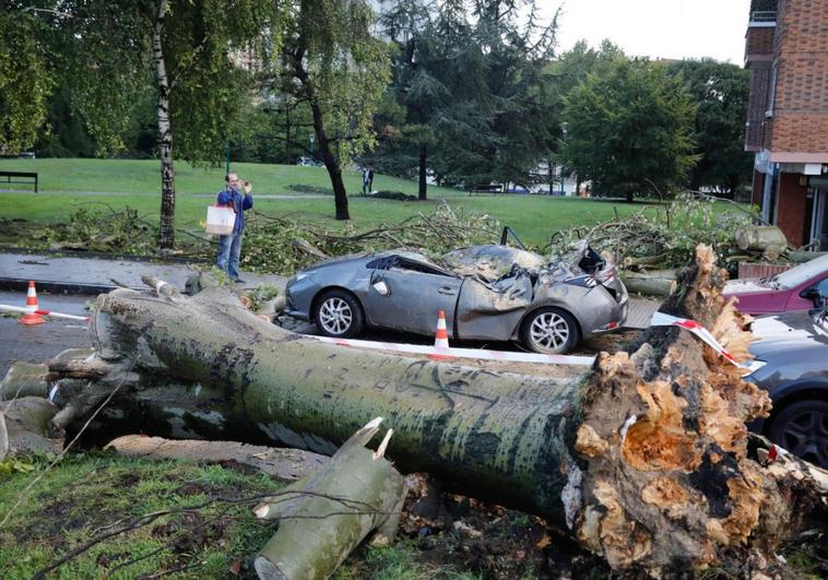 Polígono de Pumarín. Un coche, destrozado después de que le impactase de lleno un árbol de grandes dimensiones.