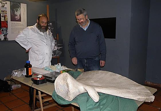 los investigadores José Antonio Pis Millán y Carlos Nores, con una escápula de ballena procedente de Toranda (Llanes).