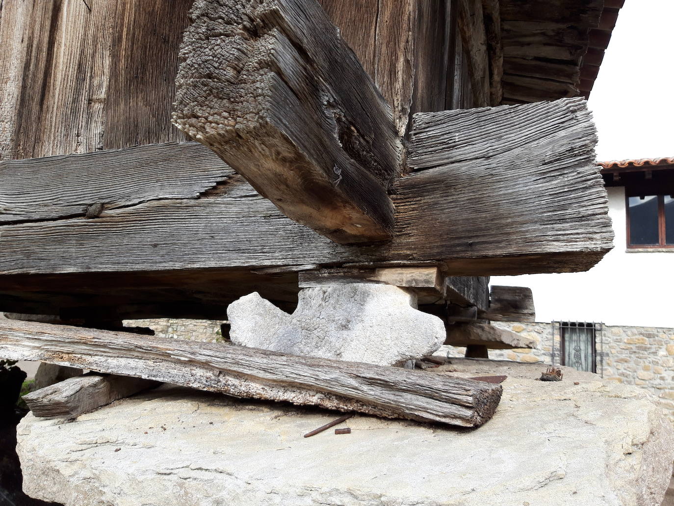 Imagen - Vértebra que forma parte de un hórreo de Gobiendes.