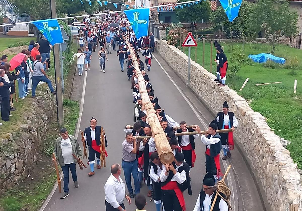 El eucalipto de 37 metros, ya en el barrio de Triana, a donde llegó a hombros de un centenar de mozos.