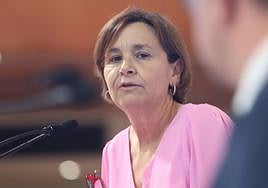 Moriyón, sobre el colector de Peñafrancia: «No hay que cometer los errores del pasado y garantizar que sea viable»