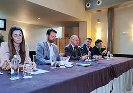 La alcaldesa de Ibias, Gemma Álvarez; los diputados Álvaro Queipo y Diego Canga; el primer edil de Cangas, José Luis Fontaniella; y la regidora de Allande, María Victoria López .