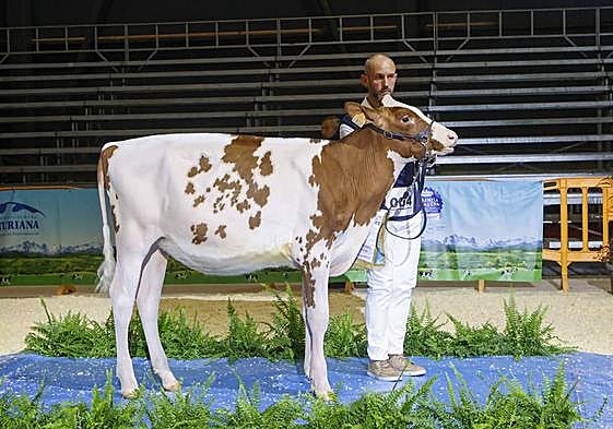 La élite de la raza frisona