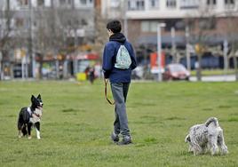 Un joven pasea con su perro en el Solarón. La nueva ley obliga a contratar un seguro de responsabilidad civil para estas mascotas.
