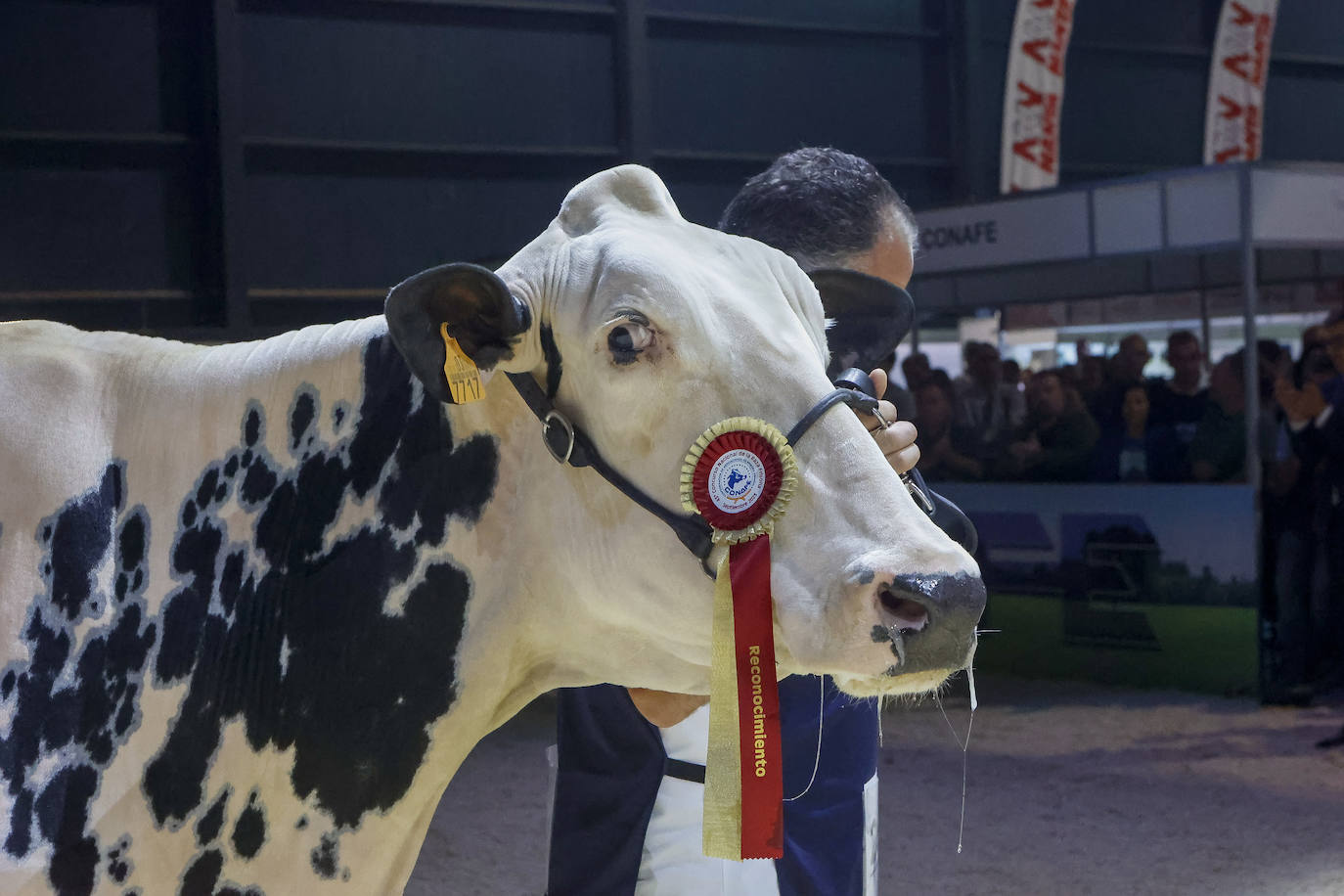 Las mejores imágenes de la segunda jornada de Agropec