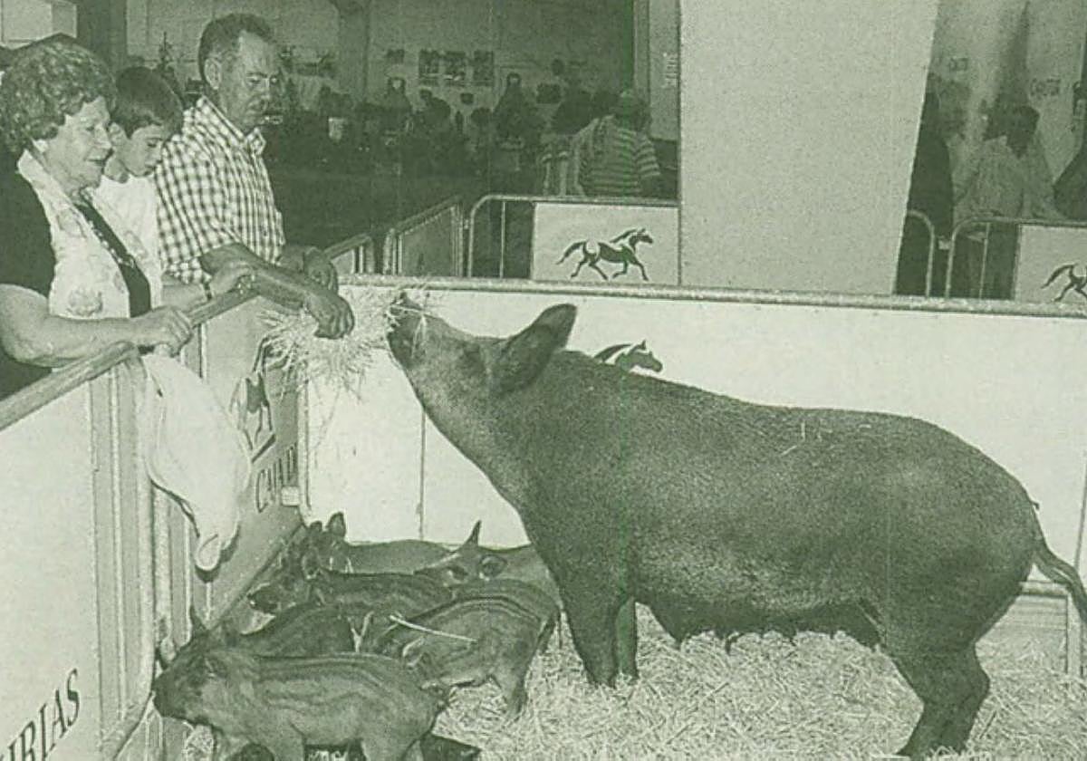 Imagen de archivo de cerdolís en Agropec.