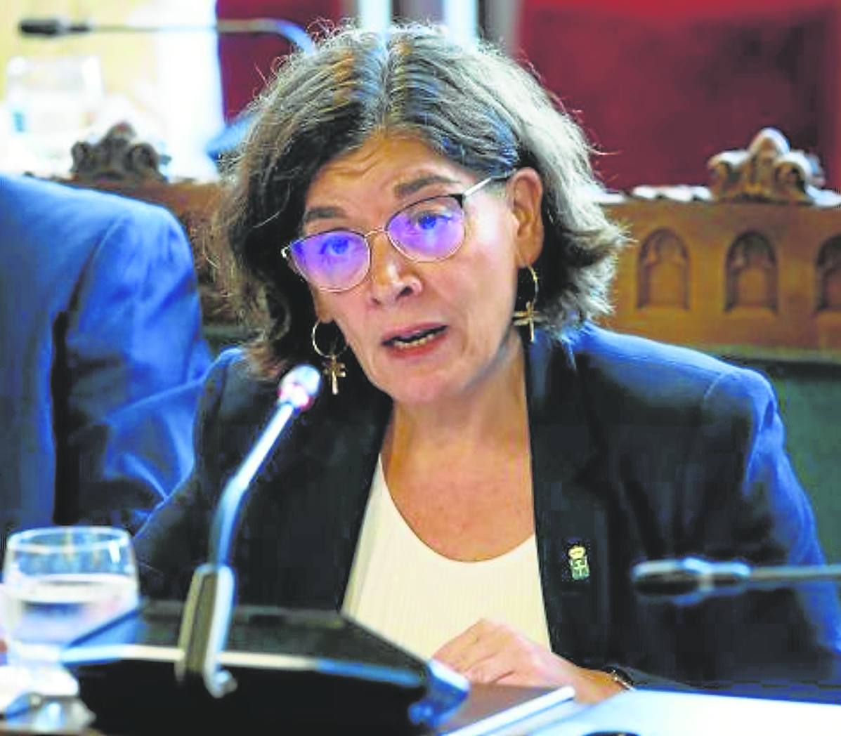 Concepción Saavedra, durante su comparecencia de ayer en la Junta General del Principado.