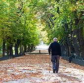 Estos son los cambios que sufrirá la paga extra de Navidad de los pensionistas este año
