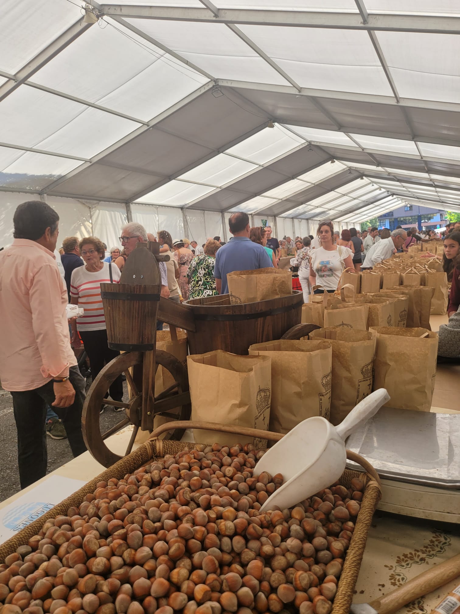 Infiesto festeja la cosecha de avellana