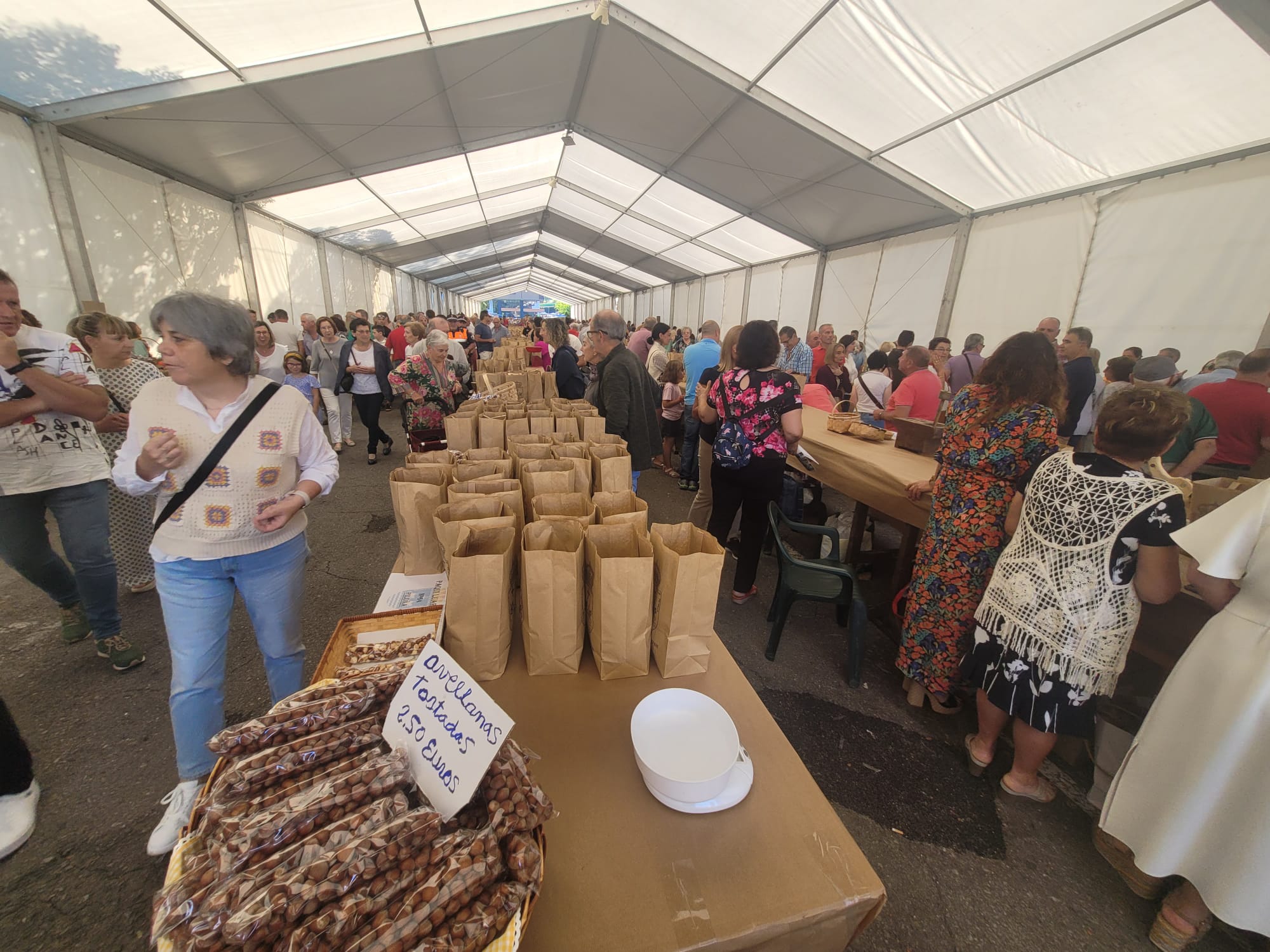 Infiesto festeja la cosecha de avellana