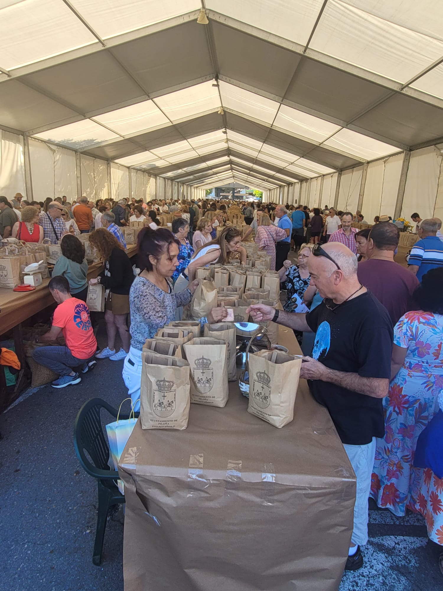 Infiesto festeja la cosecha de avellana