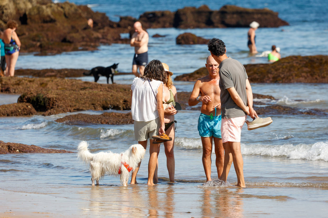 Los perros vuelven a la playa de San Lorenzo