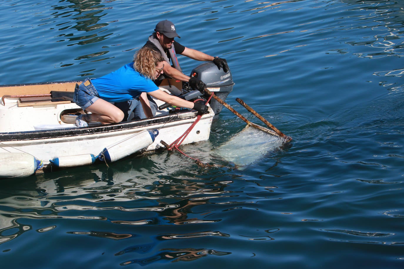 Lo que se esconde bajo el mar en el Puerto Deportivo gijonés