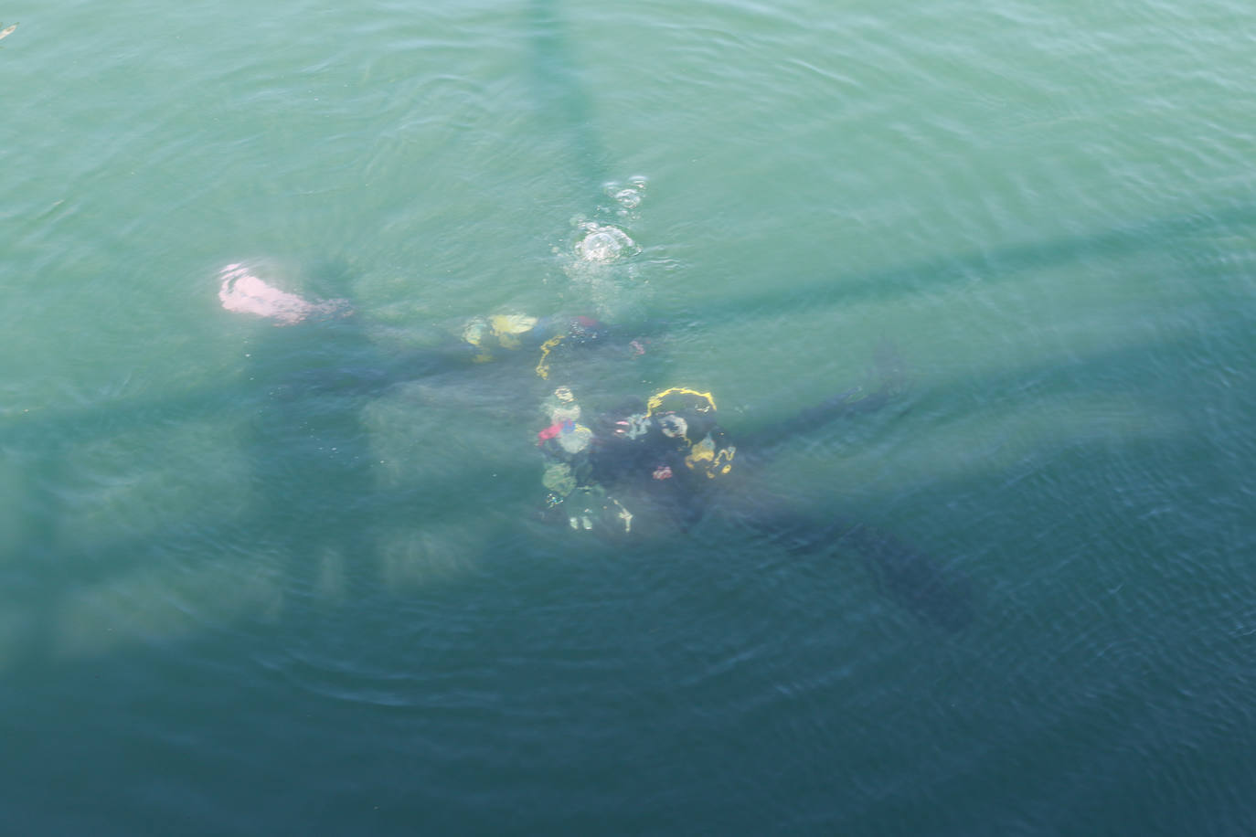 Lo que se esconde bajo el mar en el Puerto Deportivo gijonés