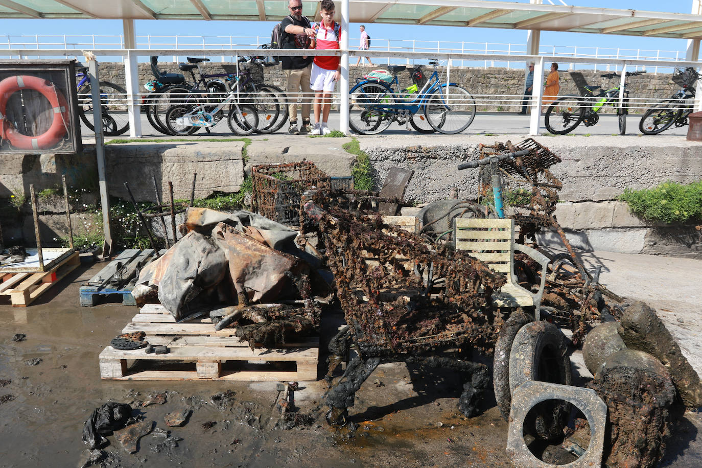 Lo que se esconde bajo el mar en el Puerto Deportivo gijonés