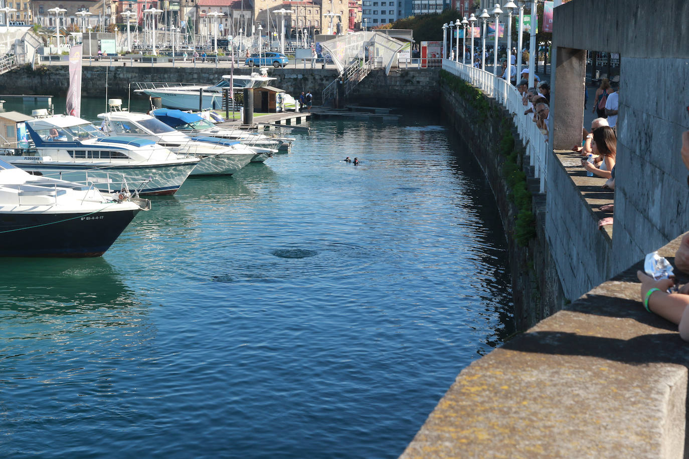 Lo que se esconde bajo el mar en el Puerto Deportivo gijonés