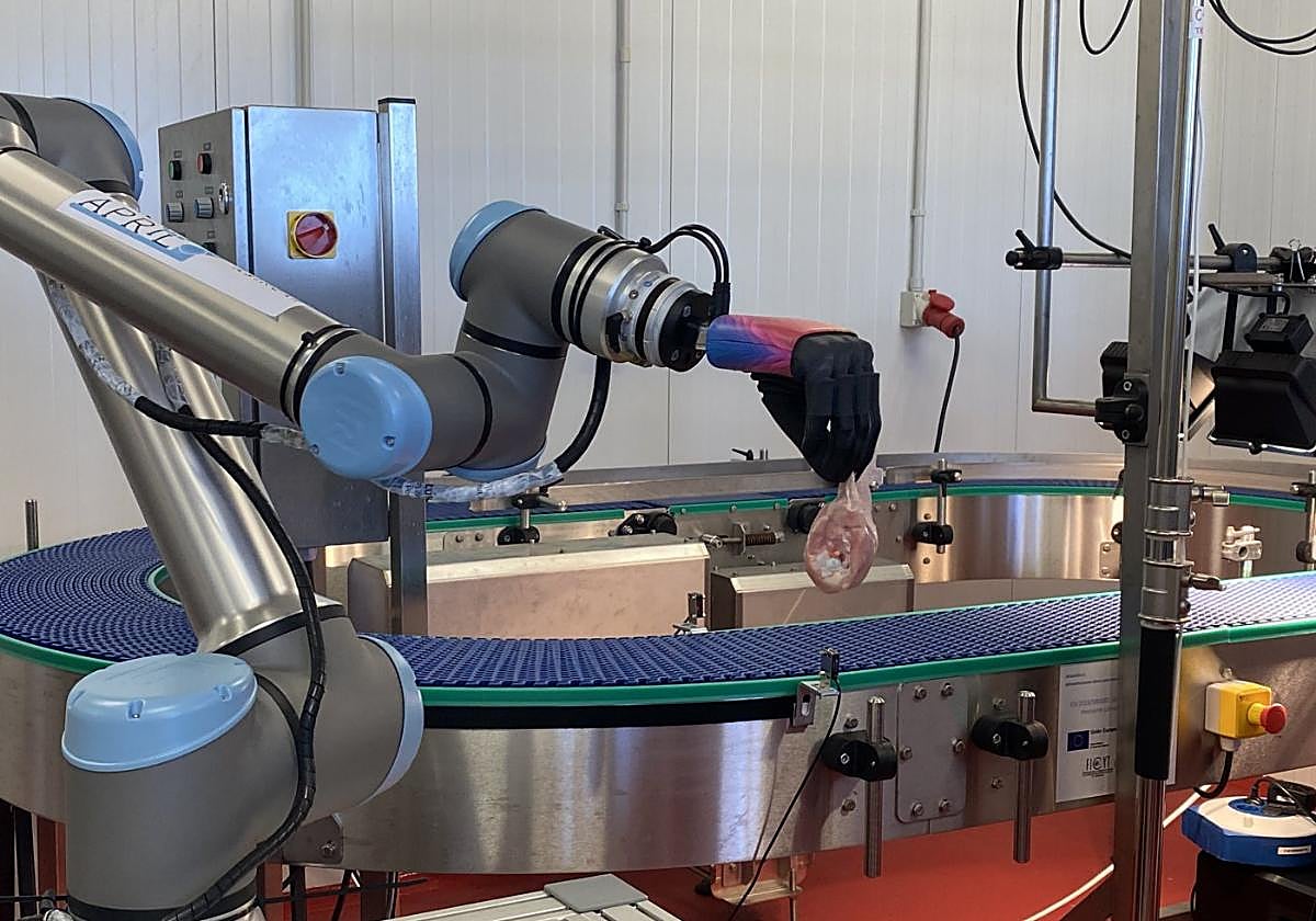 La mano agarra el pollo de la cinta.