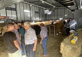 Ganaderos y visitantes en la feria de ganado de La Pontona.