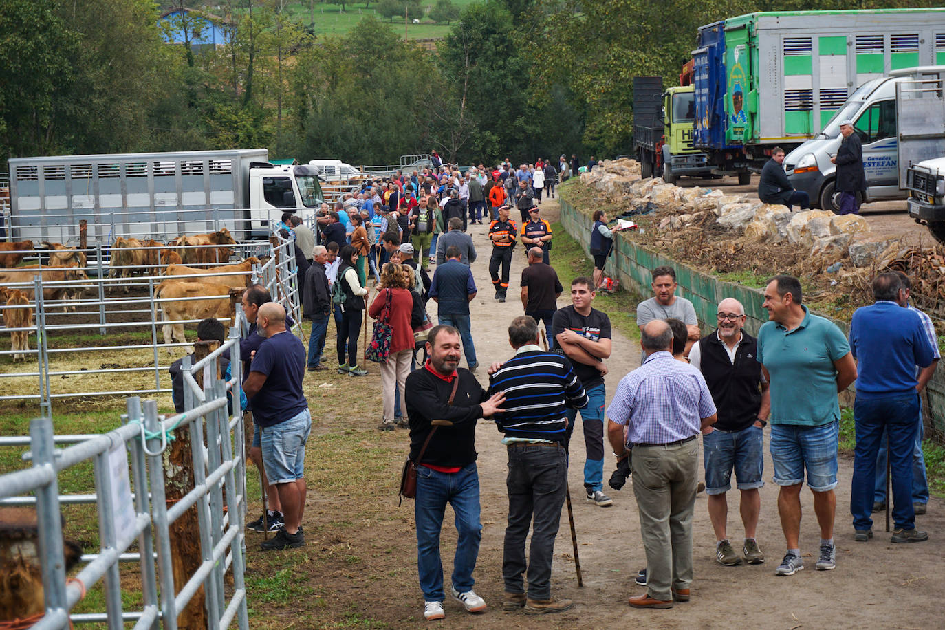 1.500 reses en la feria ganadera de Santa Teresa