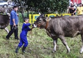 Un niño hizo gala de su pericia con el ganado.