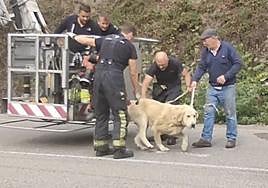 'Pastor' baja de la grúa con la que fue rescatado.