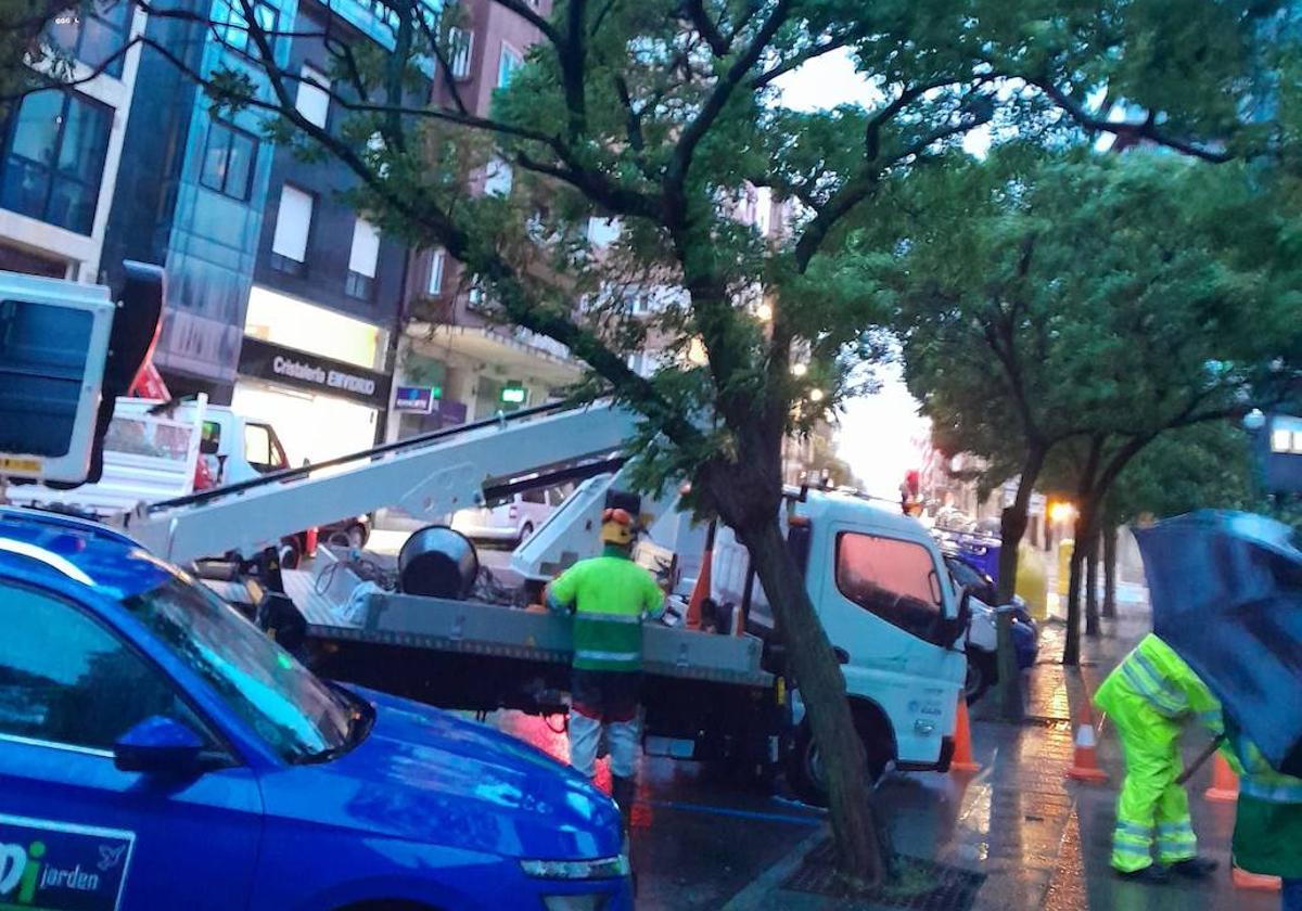 Árbol caído sobre un vehículo en la calle de La Cámara.