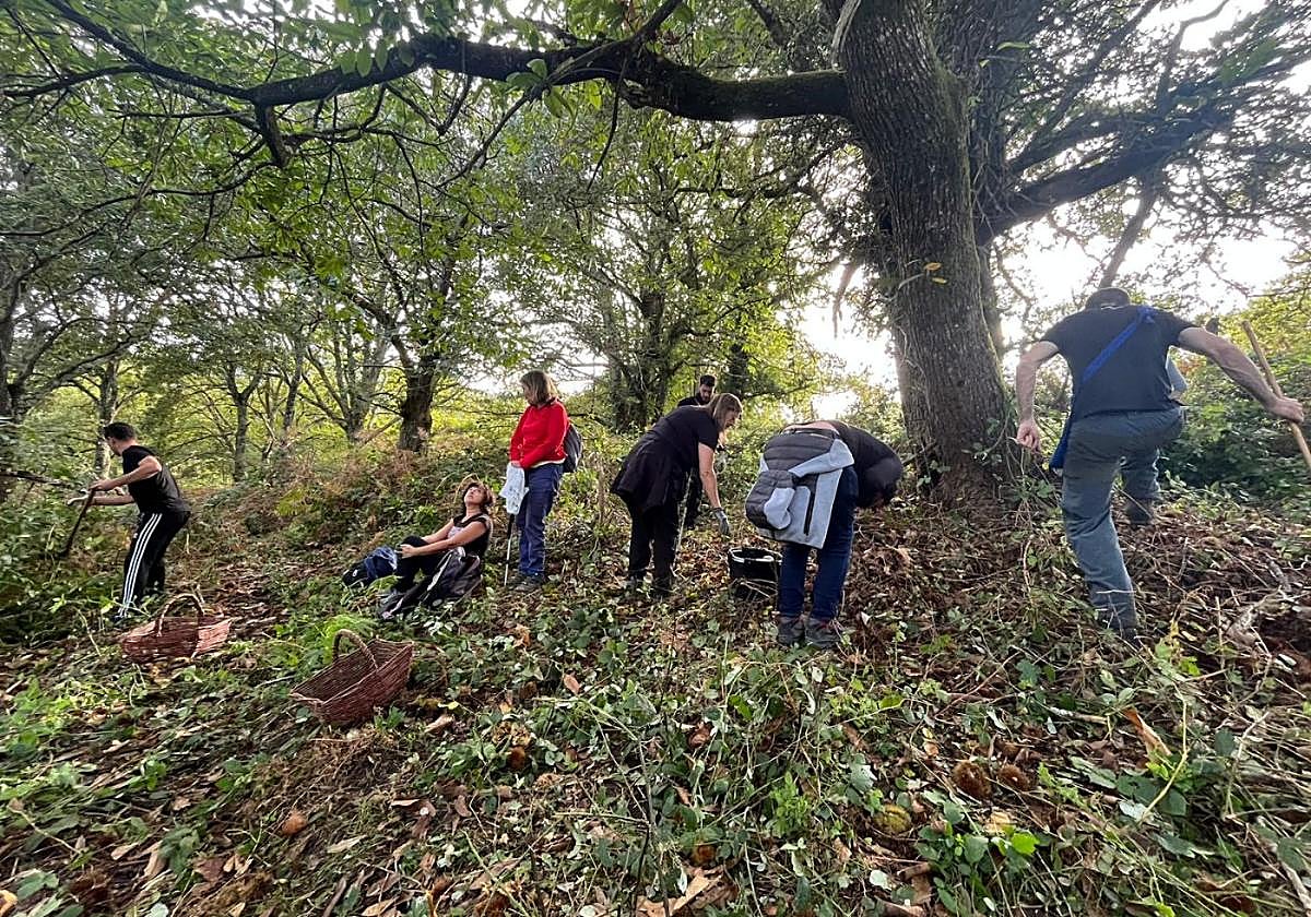 Los participantes recogieron castañas.