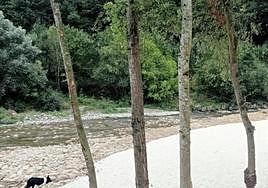 La primera de las actuaciones consistió en recuperar La Coaña, con zona de baños y de ocio.