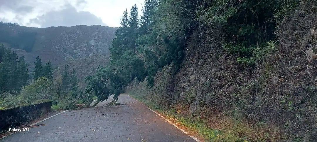 Las fuertes rachas de viento dejan destrozos por toda Asturias: las imágenes del temporal