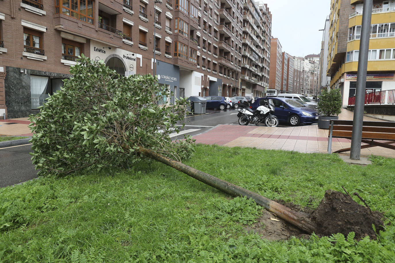 Las fuertes rachas de viento dejan destrozos por toda Asturias: las imágenes del temporal