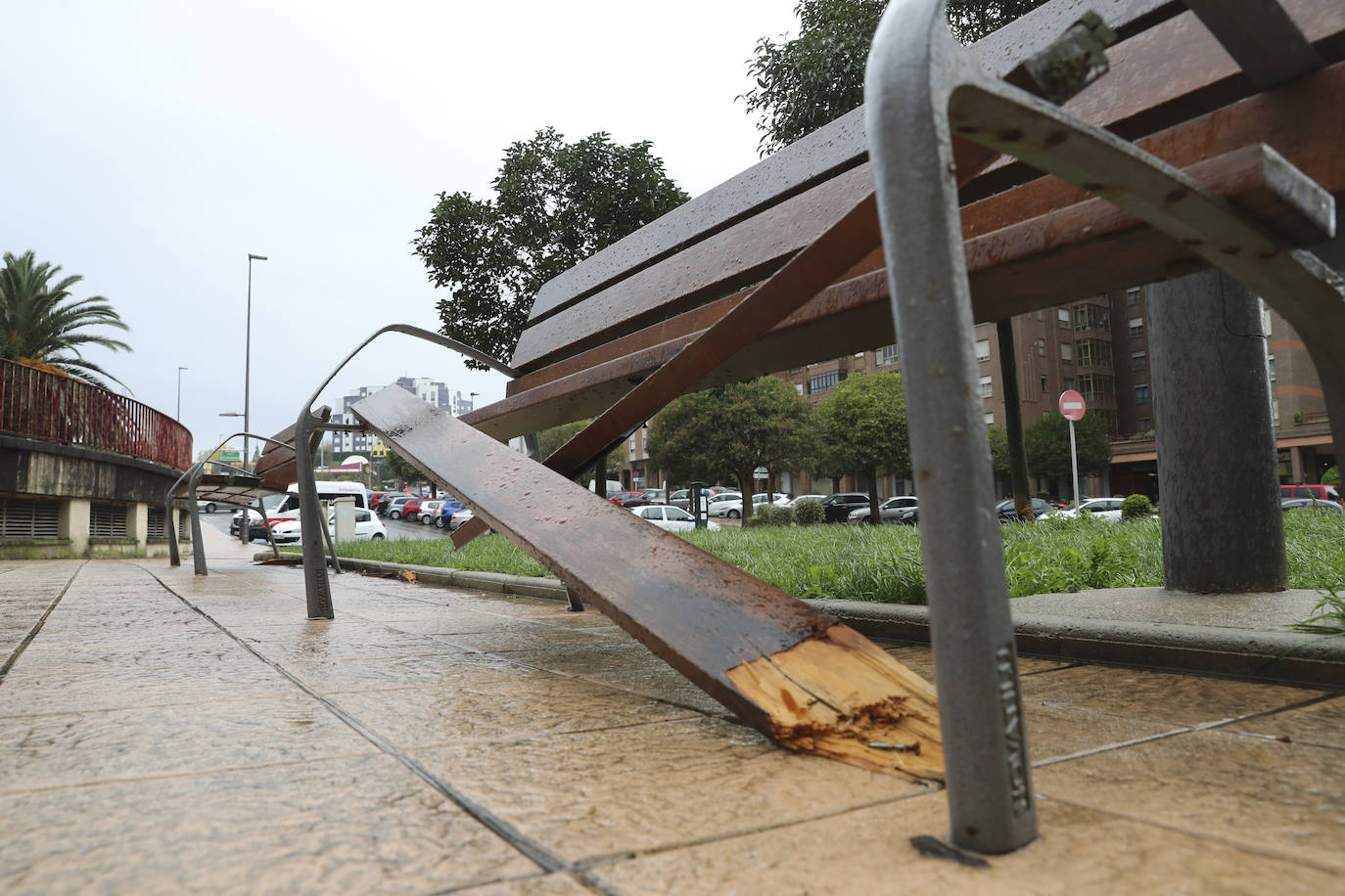 Las fuertes rachas de viento dejan destrozos por toda Asturias: las imágenes del temporal