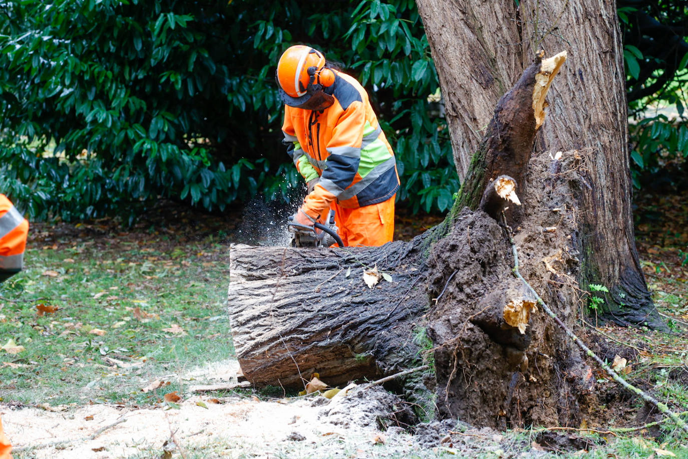 Las fuertes rachas de viento dejan destrozos por toda Asturias: las imágenes del temporal