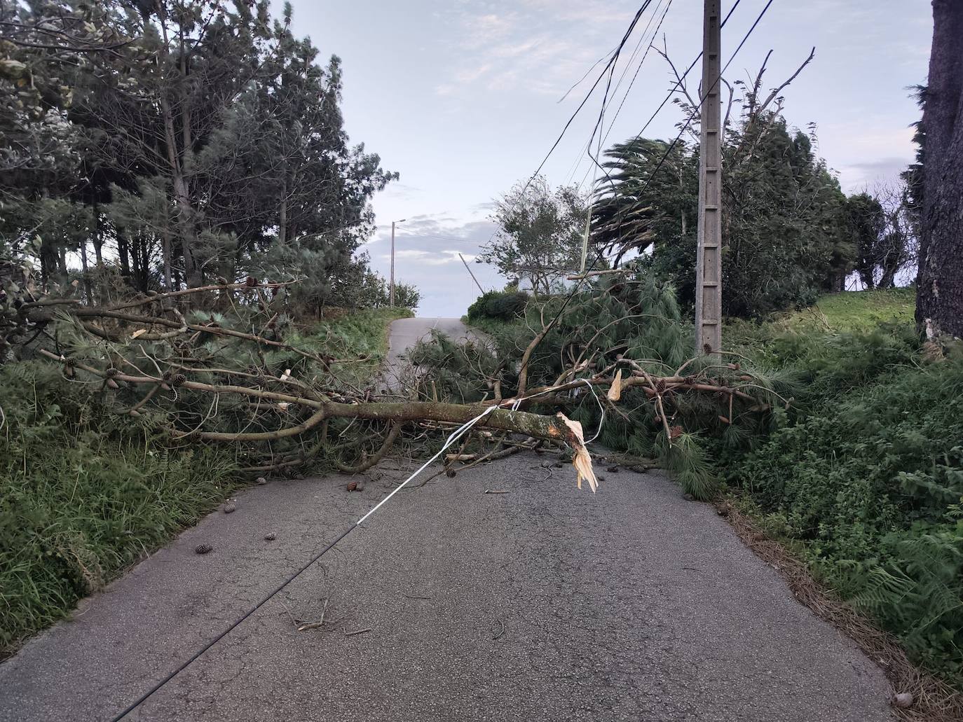 Las fuertes rachas de viento dejan destrozos por toda Asturias: las imágenes del temporal