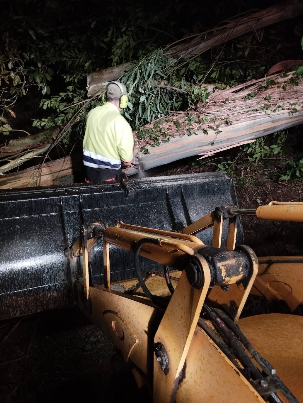 Las fuertes rachas de viento dejan destrozos por toda Asturias: las imágenes del temporal