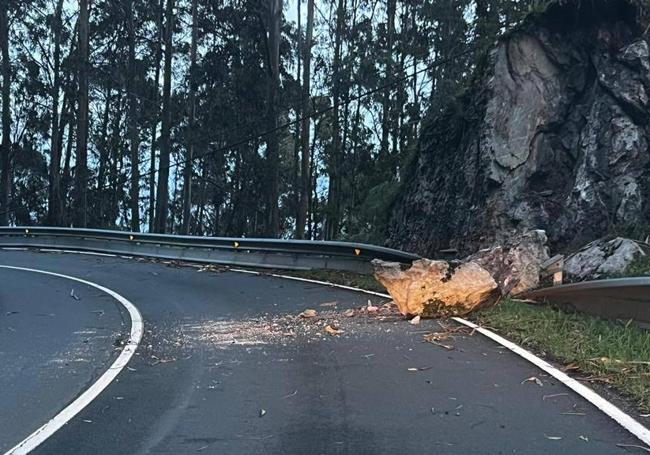 Árbol caído en una carretera del Oriente de la región.