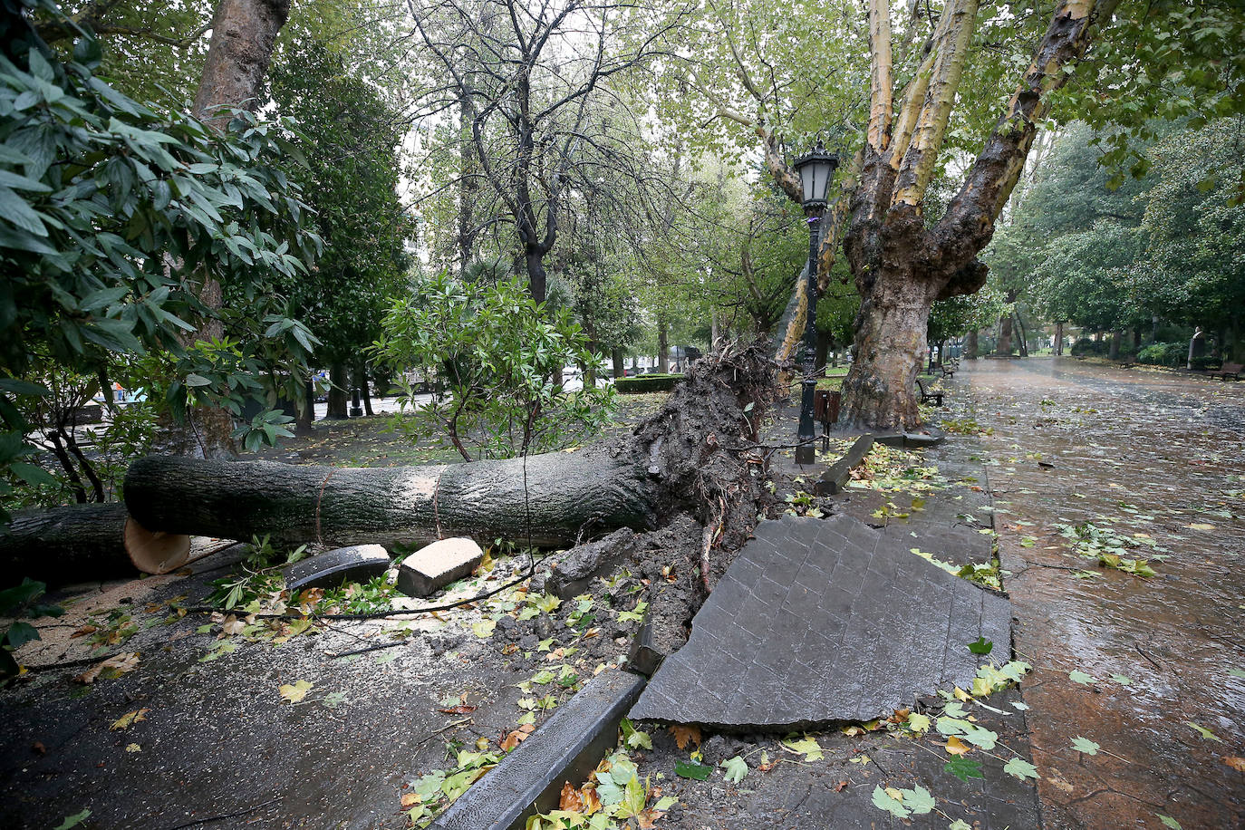 Las fuertes rachas de viento dejan destrozos por toda Asturias: las imágenes del temporal