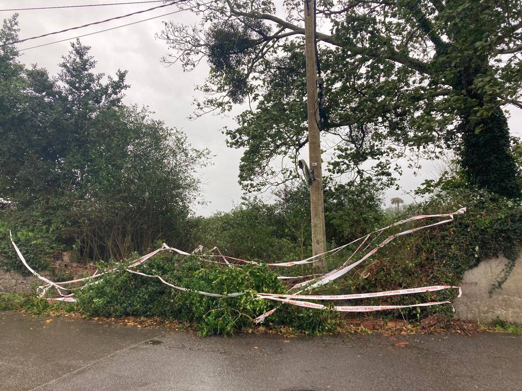 Las fuertes rachas de viento dejan destrozos por toda Asturias: las imágenes del temporal