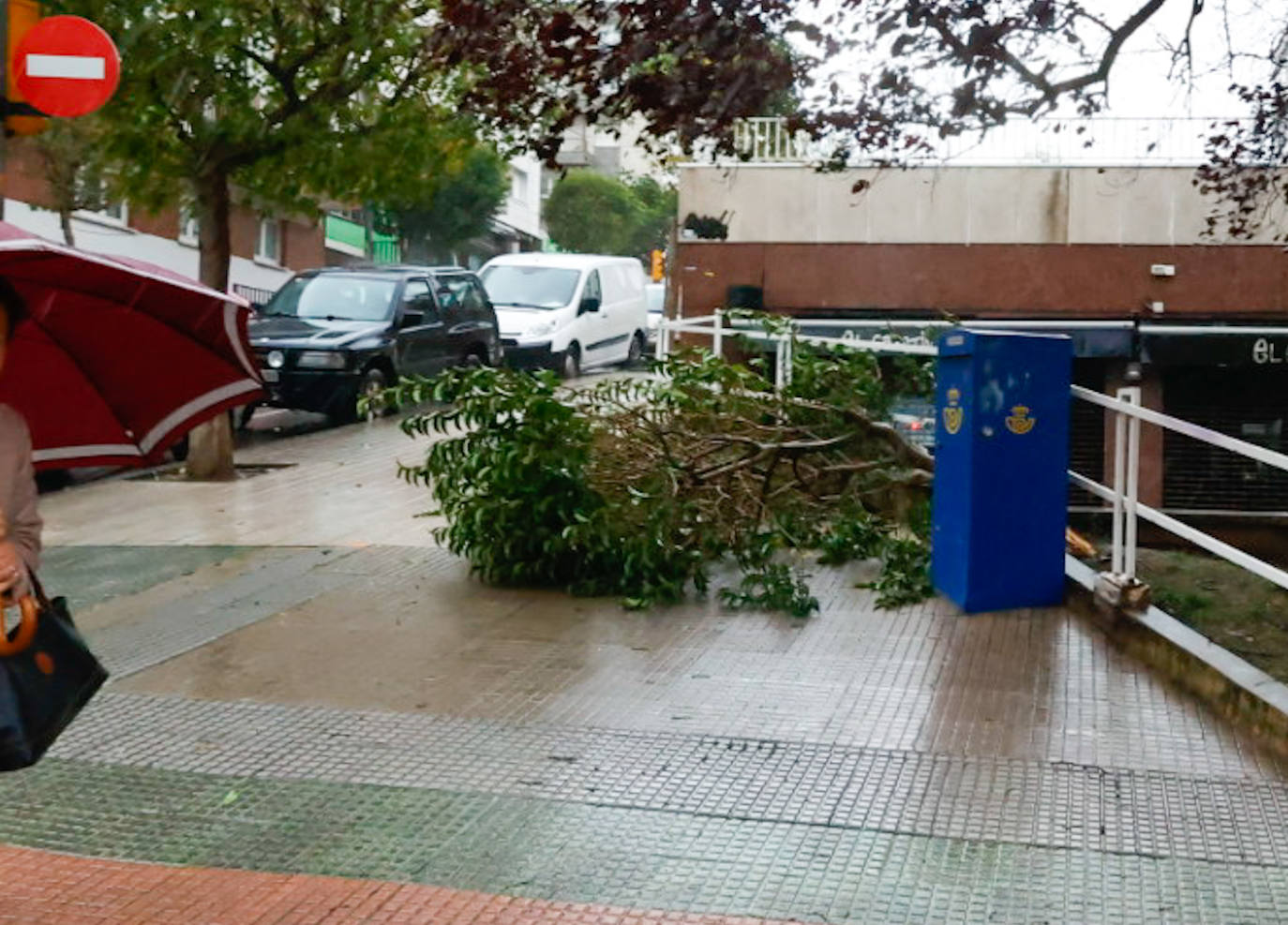 Las fuertes rachas de viento dejan destrozos por toda Asturias: las imágenes del temporal