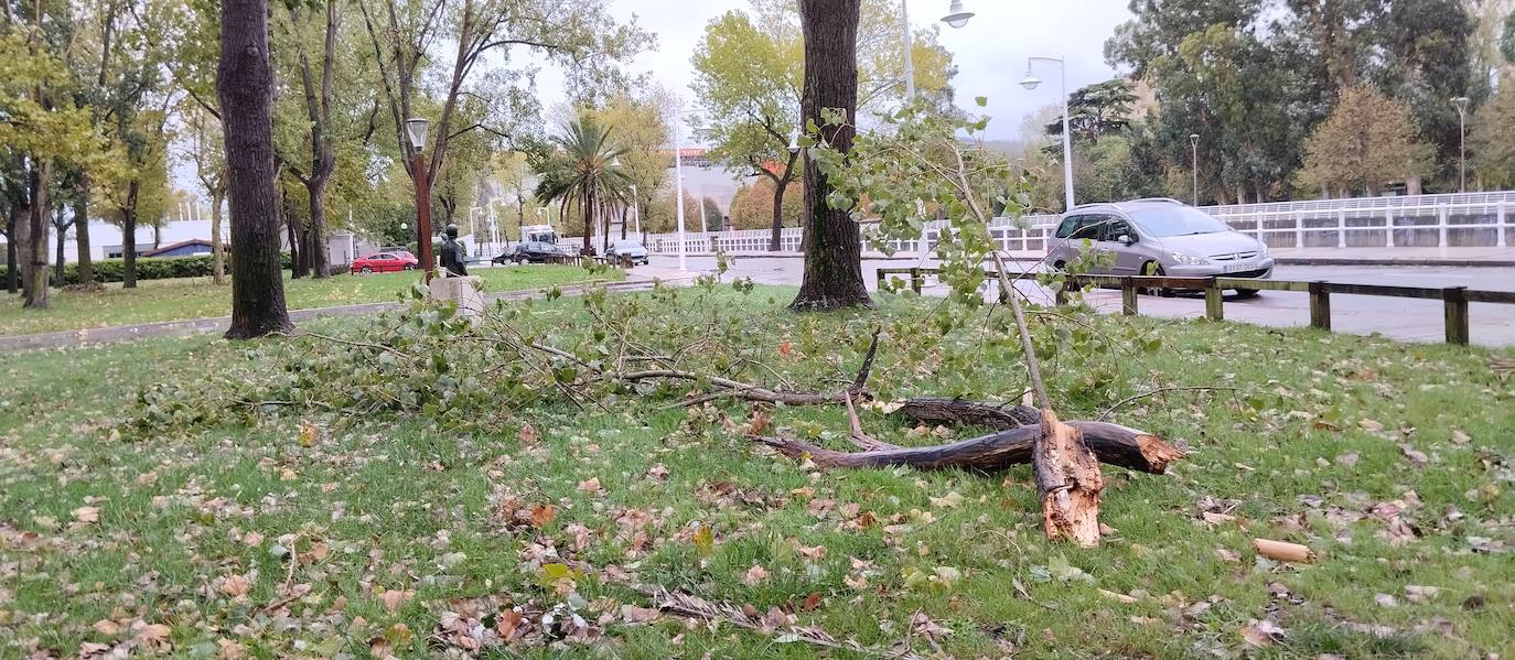 Las fuertes rachas de viento dejan destrozos por toda Asturias: las imágenes del temporal