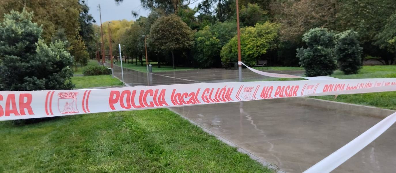 Las fuertes rachas de viento dejan destrozos por toda Asturias: las imágenes del temporal