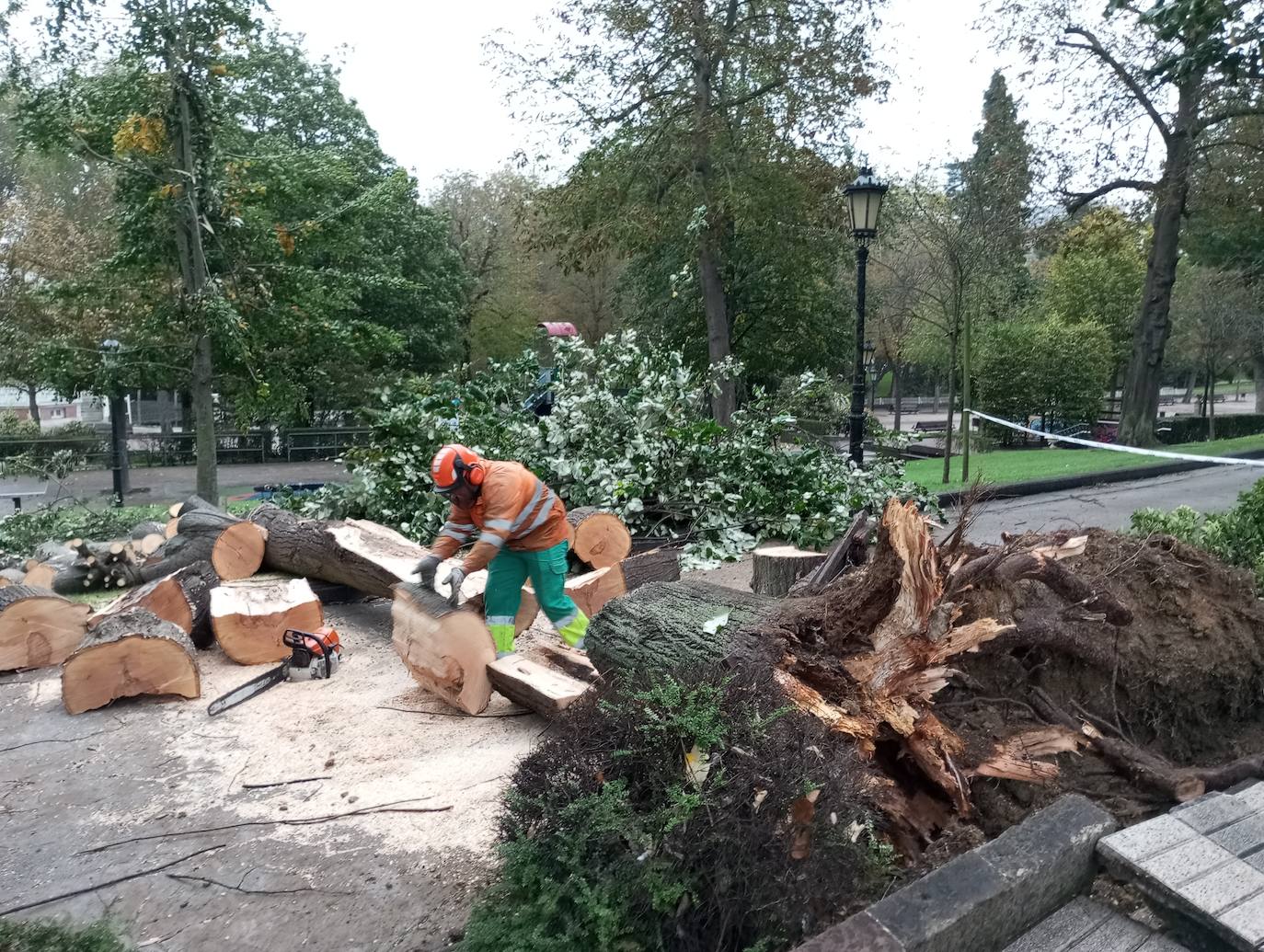 Las fuertes rachas de viento dejan destrozos por toda Asturias: las imágenes del temporal