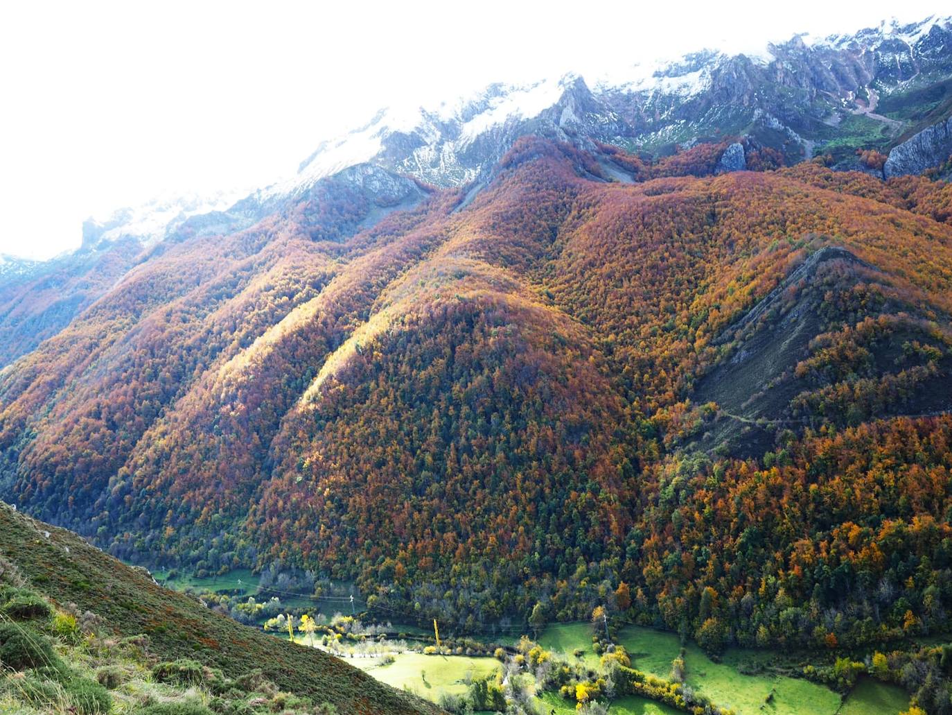 Las espectaculares imágenes otoñales en las brañas de Somiedo