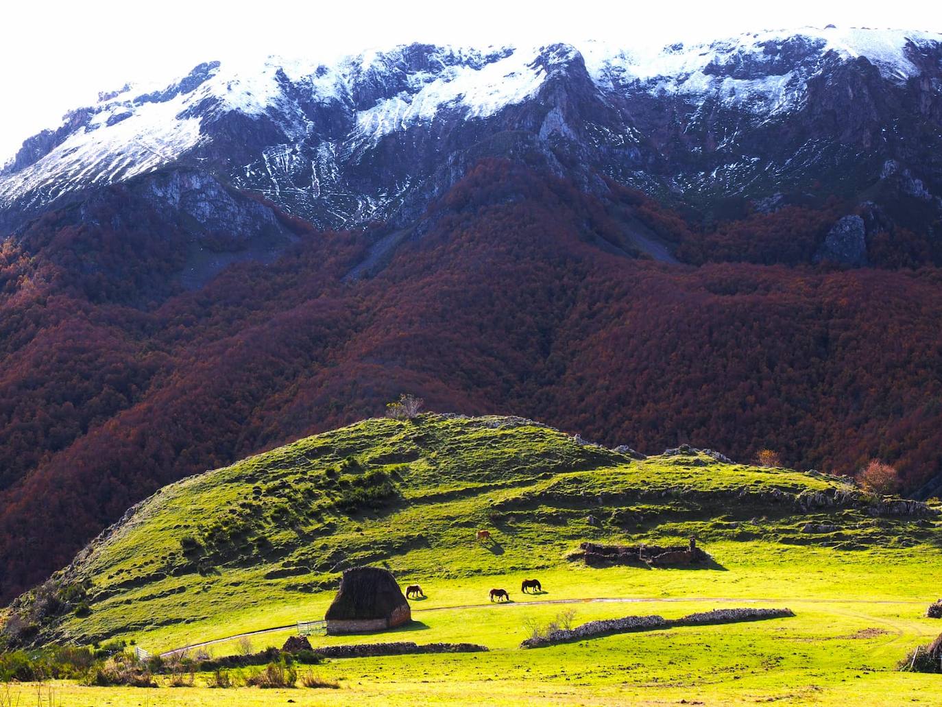 Las espectaculares imágenes otoñales en las brañas de Somiedo