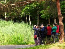 Rutas interpretadas, observación de aves, talleres para niños, caminatas para entender las nubes, repoblaciones de árboles autóctonos... la agenda de Biodevas es variada, gratuita y amplia