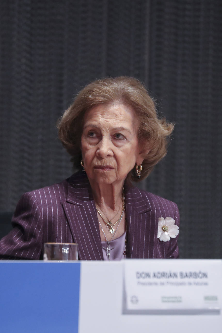 La Reina Sofía inaugura el Congreso Nacional de Alzheimer en Gijón