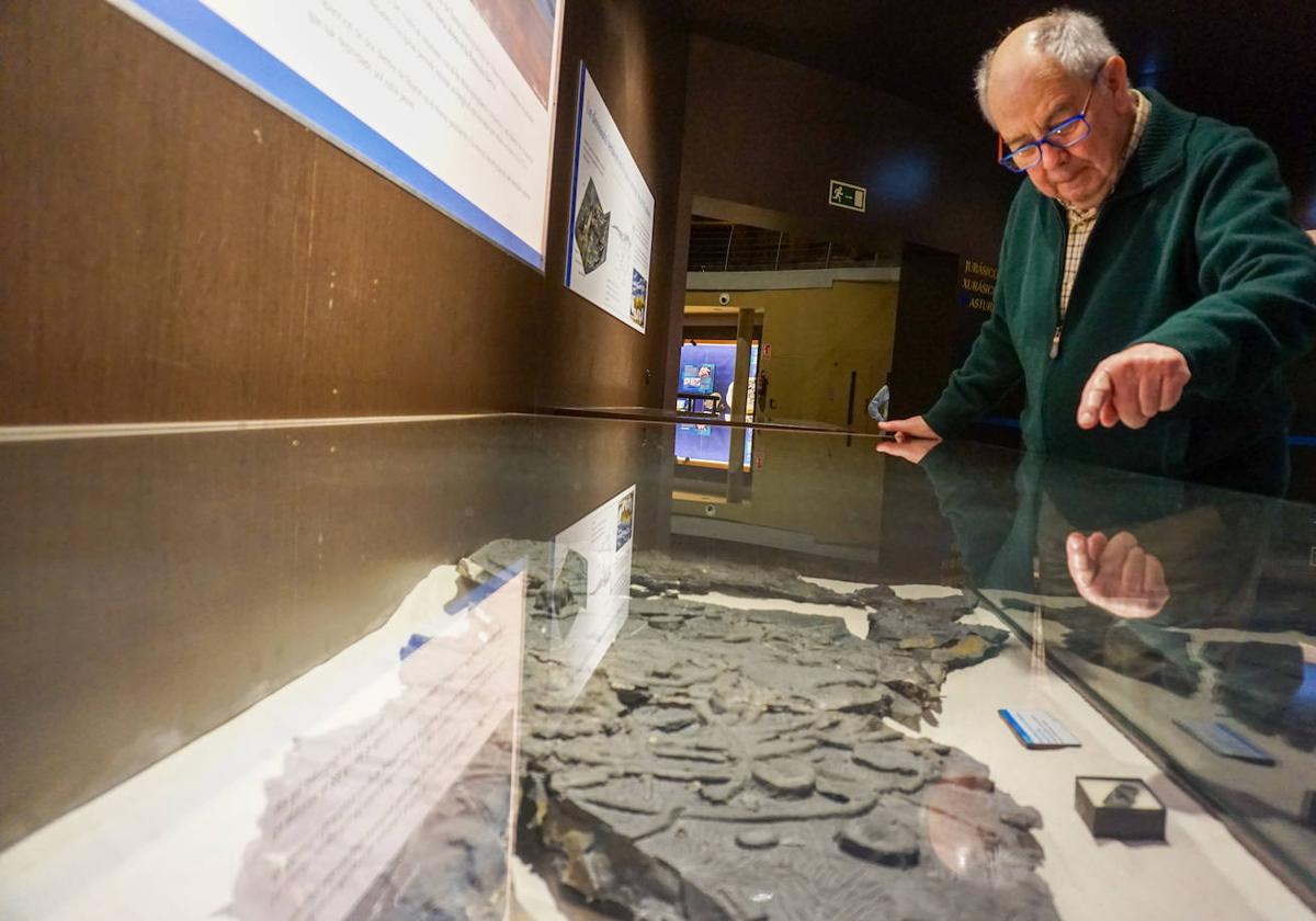 José Carlos García-Ramos muestra el ictiosaurio hallado en Villaviciosa.