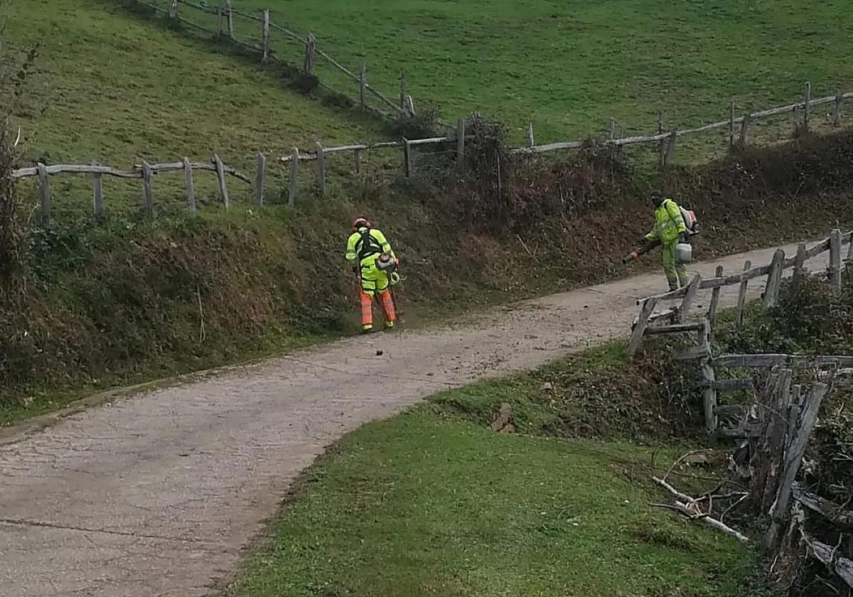 Personal del Ayuntamiento de Laviana realiza desbroces en la parroquia de Tiraña.