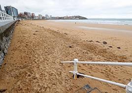 La zona centro de la playa, donde se nota el incremento del aporte de arena.