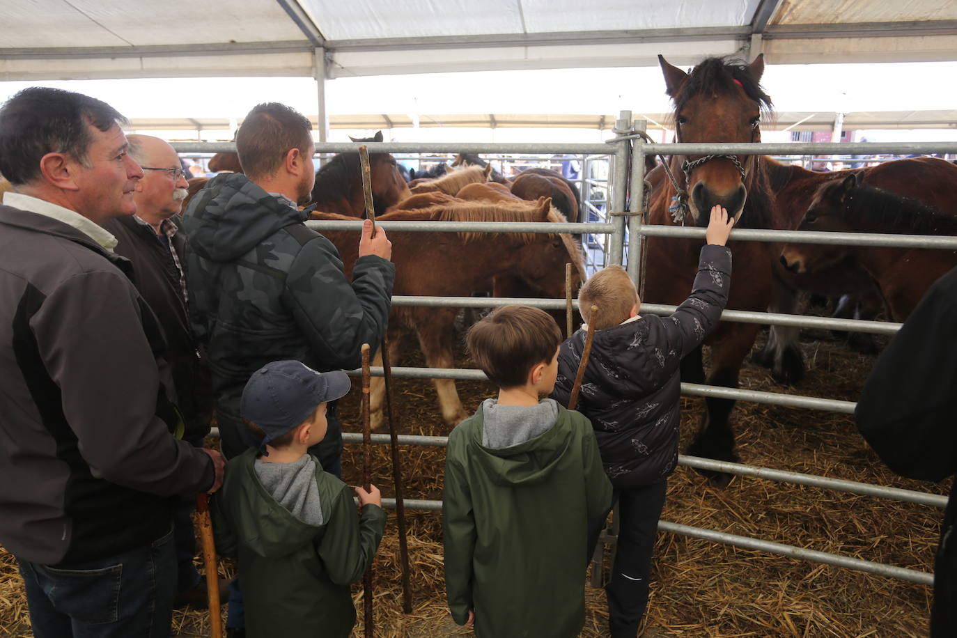 La feria del ganado de Cabañaquinta, en imágenes