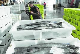 Descarga de capturas de merluza en la rula de Avilés.